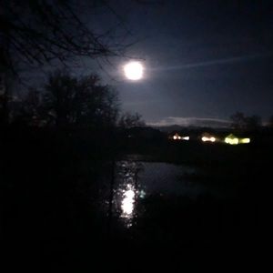 Meet your Posher, Leisa